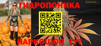 PSILOCYBIN Будённовск