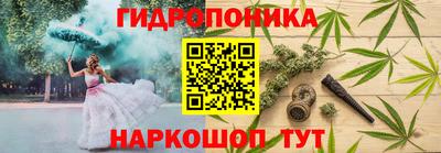 PSILOCYBIN Будённовск