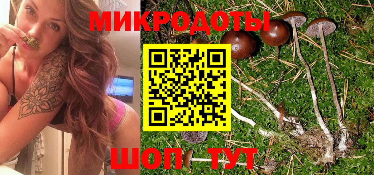 Сосновый Бор  купить наркотик  Галлюциногенные грибы Psilocybine cubensis  Вход с VPN  Галлюциногенные грибы прущие грибы 