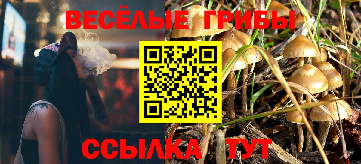 Псилоцибиновые грибы мухоморы Сосновый Бор